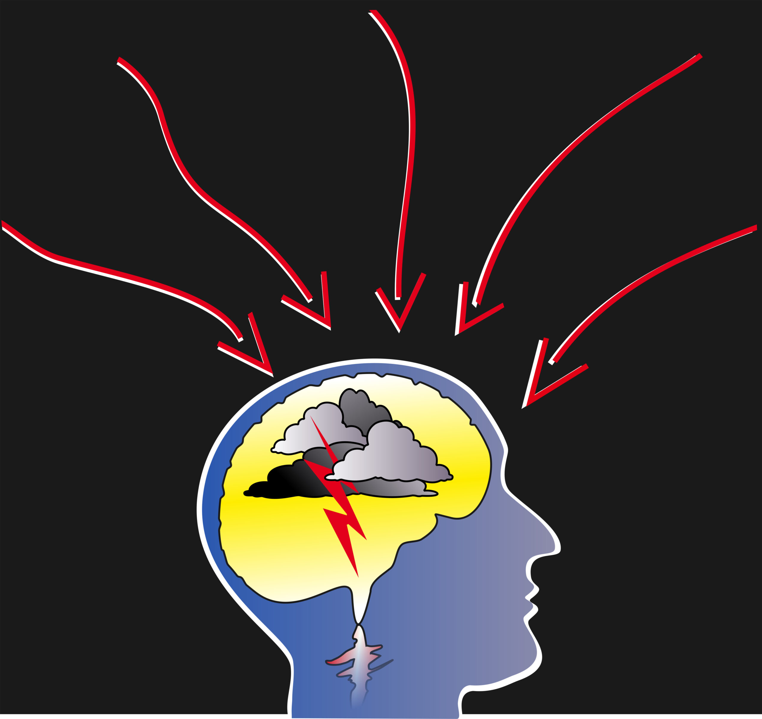 Advanced Traumatic Brain Injury Scan Services in Florida